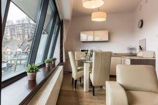 Апартаменты Apartament Widokowy Закопане Апартаменты-33